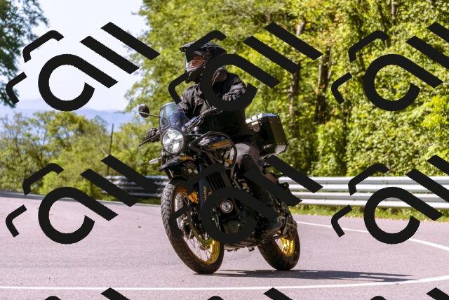 202509131104-_DSC9864_d1_