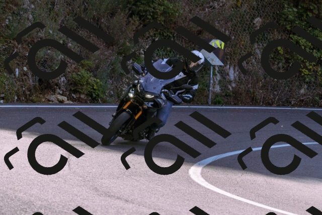 202509131104-_DSC9870_d1_