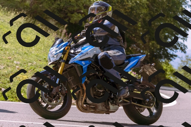 202509131119-_DSC9897_d1_