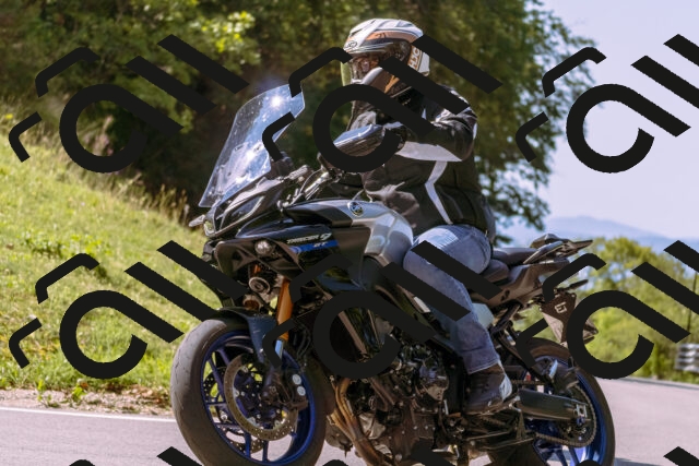 202509131119-_DSC9898_d1_