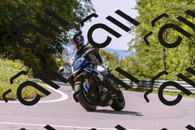 202509131125-_DSC9917_d1_