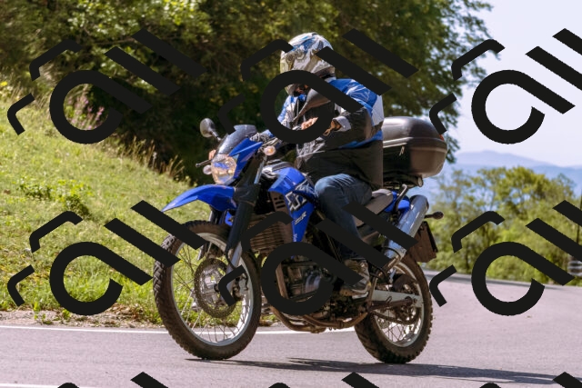 202509131129-_DSC9929_d1_