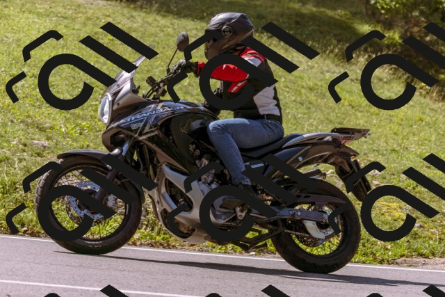 202509131131-_DSC9939_d1_