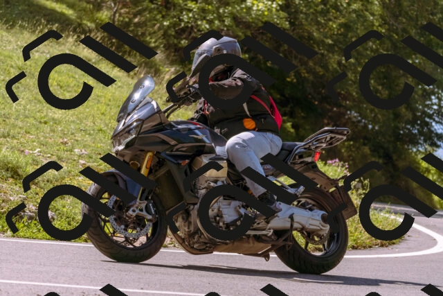 202509131134-_DSC9950_d1_