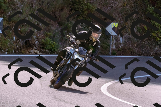 202509131135-_DSC9951_d1_