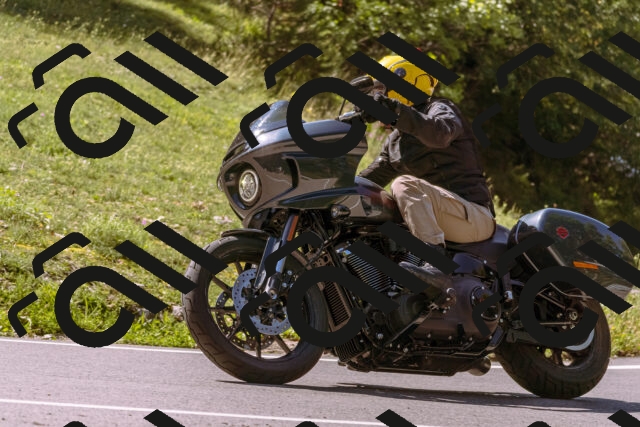 202509131137-_DSC9955_d1_