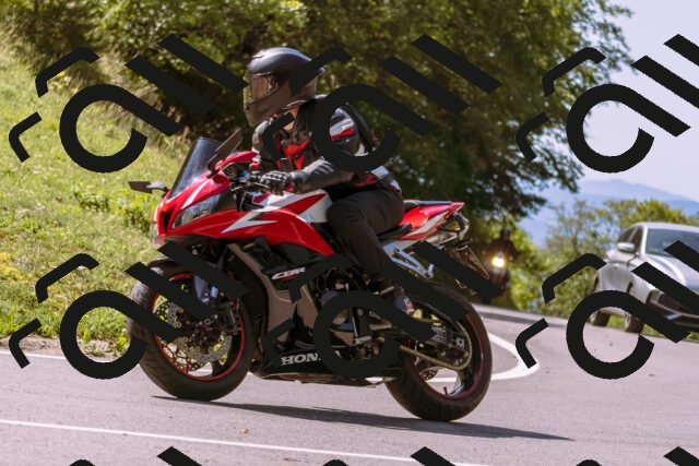 202509131154-_DSC9988_d1_