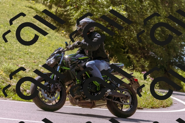 202509131154-_DSC9991_d1_