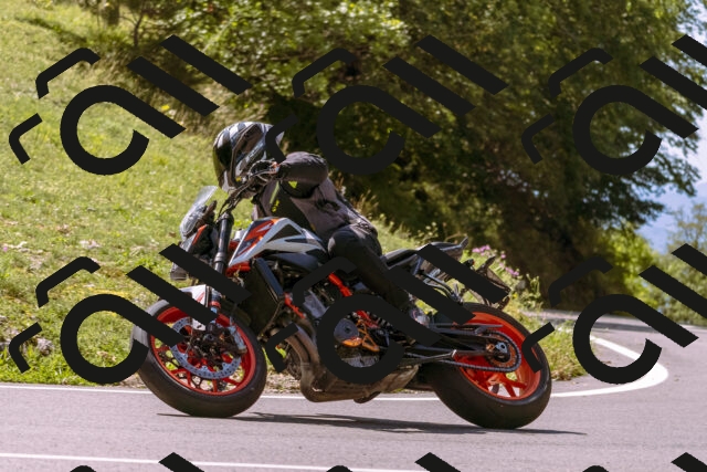 202509131154-_DSC9995_d1_