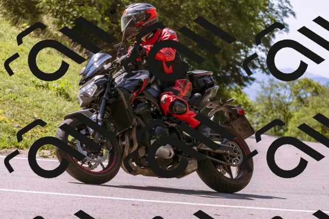 202509131157-_DSC0025_d1_