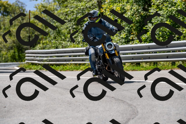 202509131250-DSC_9135_d2_