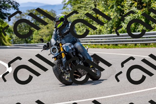 202509131250-DSC_9136_d2_