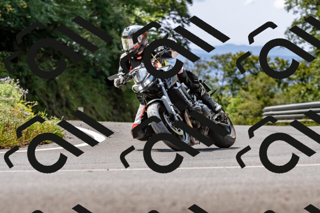 202509131256-DSC_9148_d2_