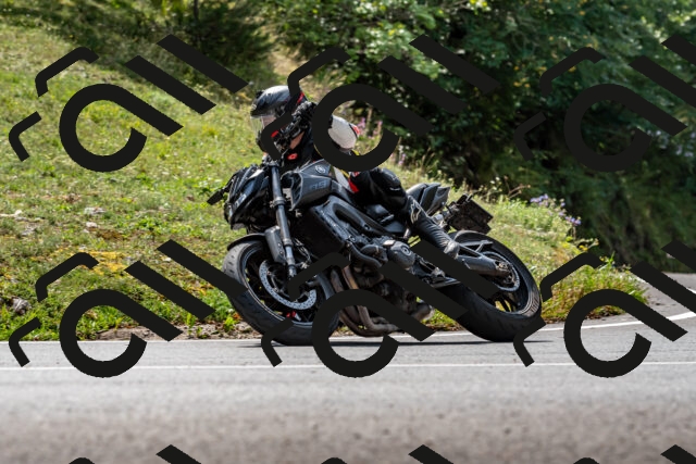 202509131256-DSC_9149_d2_