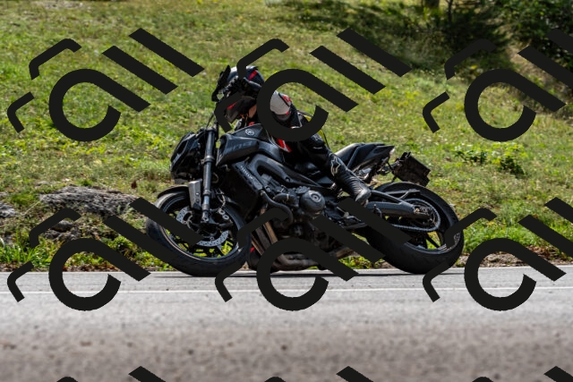 202509131256-DSC_9150_d2_