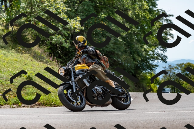 202509131256-DSC_9154_d2_