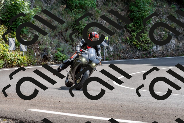 202509131256-DSC_9158_d2_