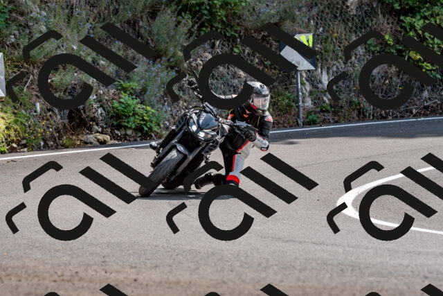 202509131256-DSC_9161_d2_