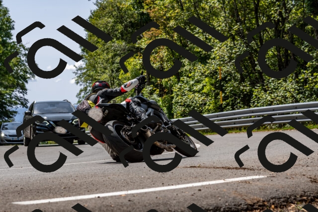 202509131256-DSC_9165_d2_