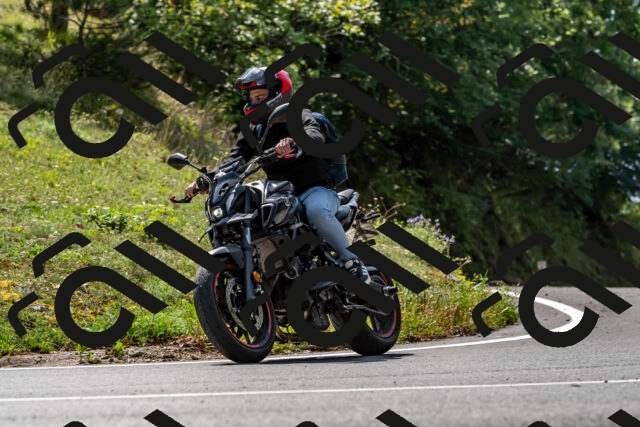 202509131257-DSC_9169_d2_