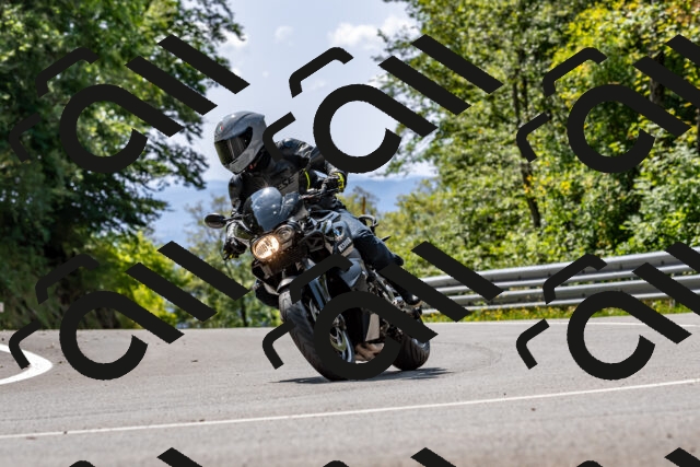 202509131257-DSC_9175_d2_