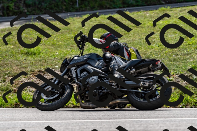 202509131257-DSC_9181_d2_