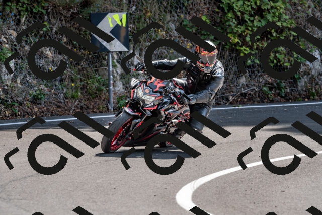 202509131258-DSC_9187_d2_