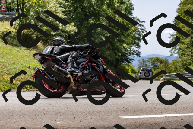 202509131258-DSC_9190_d2_