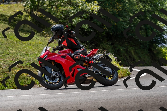 202509131259-DSC_9193_d2_