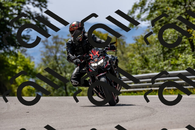 202509131259-DSC_9195_d2_