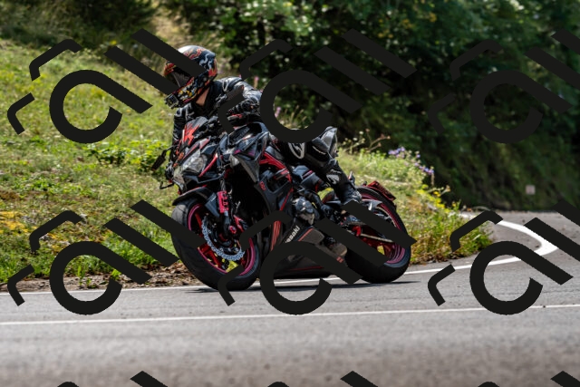 202509131259-DSC_9196_d2_