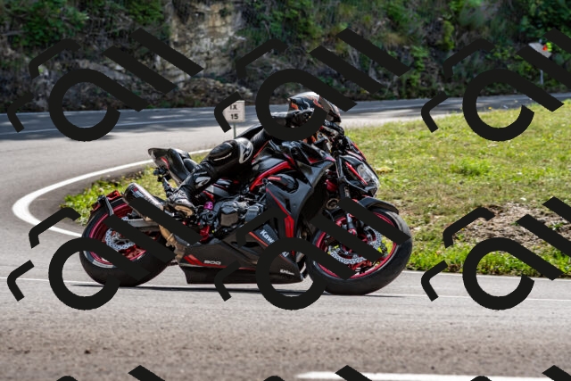 202509131300-DSC_9200_d2_