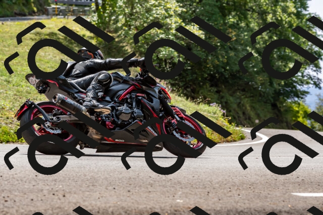 202509131300-DSC_9201_d2_