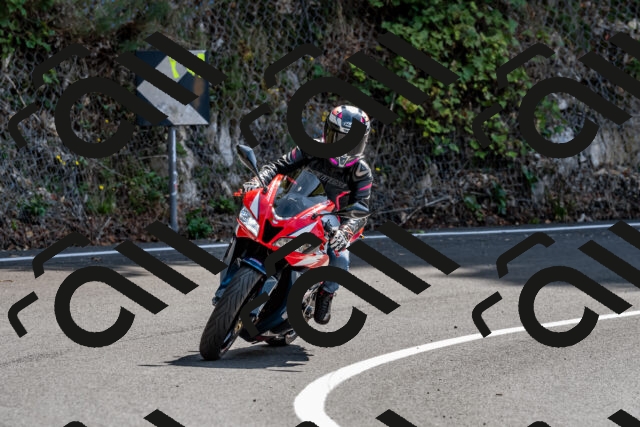 202509131300-DSC_9202_d2_