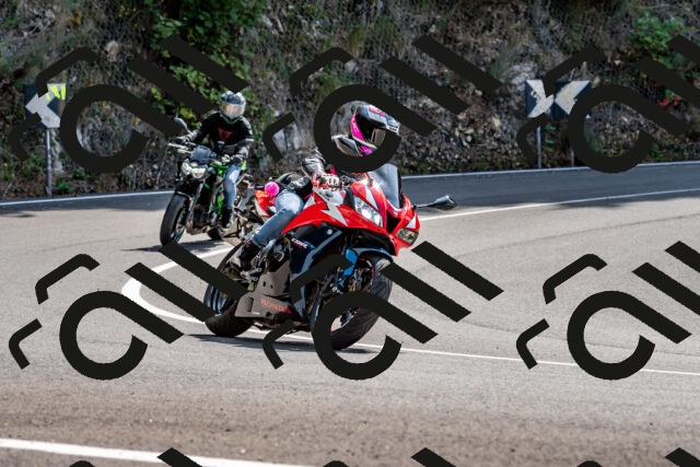 202509131300-DSC_9203_d2_