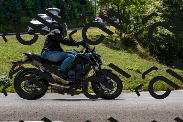 202509131300-DSC_9208_d2_