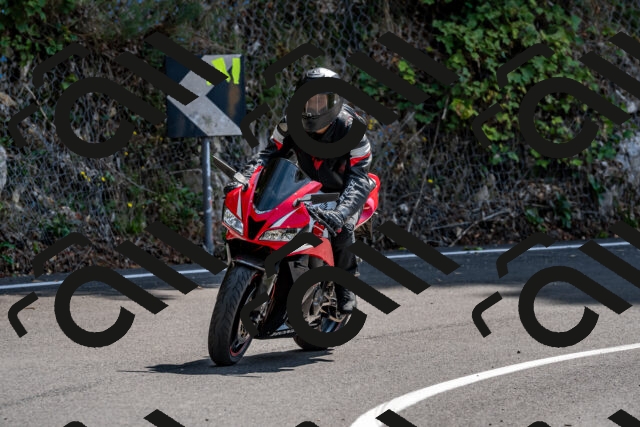 202509131301-DSC_9209_d2_