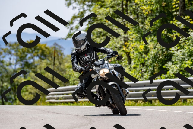 202509131302-DSC_9212_d2_