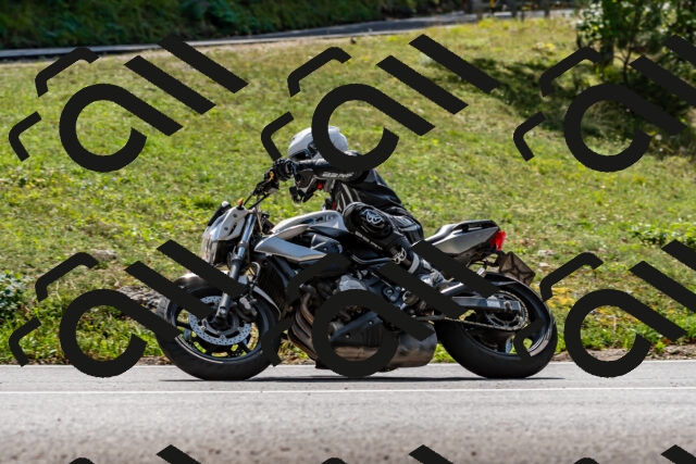 202509131302-DSC_9214_d2_