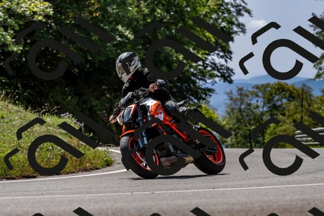 202509131304-DSC_9227_d2_