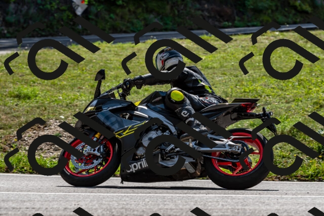 202509131306-DSC_9236_d2_