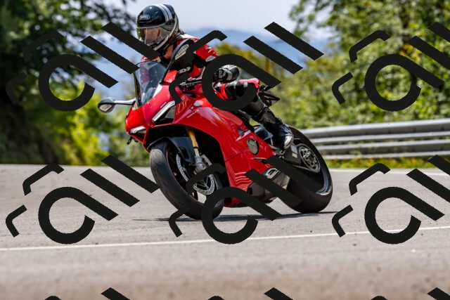 202509131306-DSC_9237_d2_