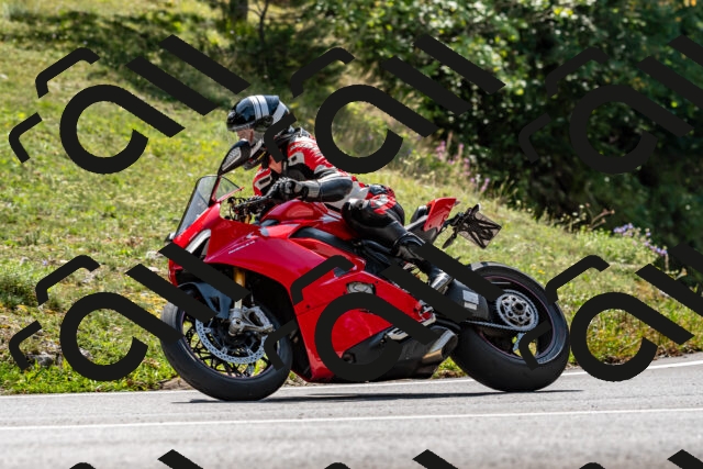 202509131306-DSC_9238_d2_