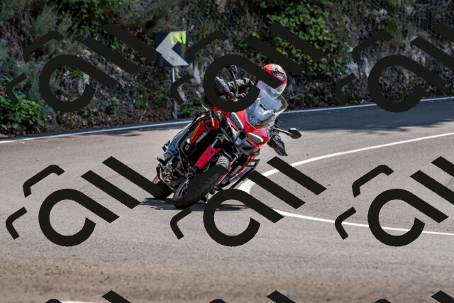 202509131306-DSC_9241_d2_