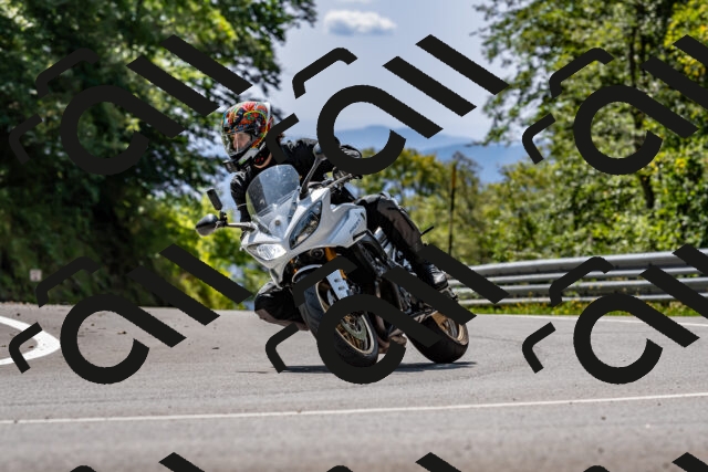 202509131308-DSC_9245_d2_