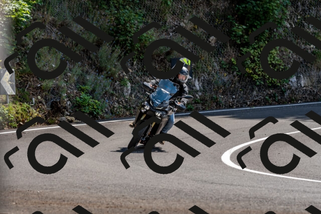 202509131309-DSC_9250_d2_