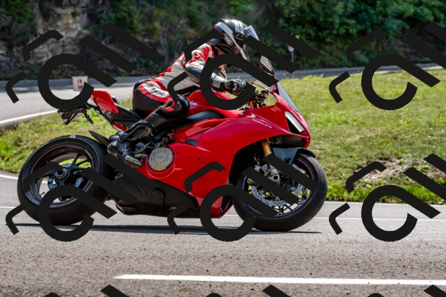 202509131315-DSC_9259_d2_