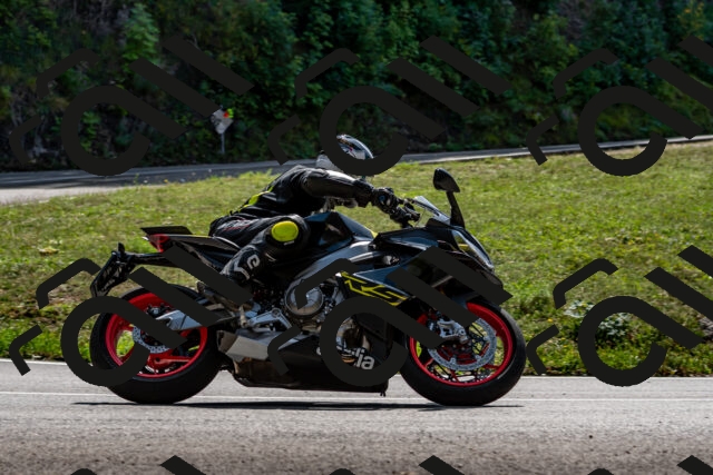 202509131315-DSC_9261_d2_