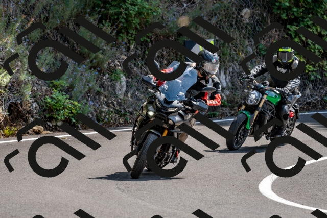 202509131319-DSC_9269_d2_