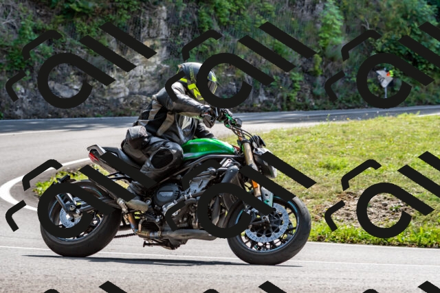 202509131319-DSC_9273_d2_